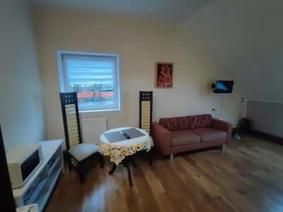 Трактир Зеркальный карп - 19