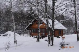 Загородный дом «Сказочный домик», Силичи