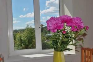 Апартаменты «Пион», Плес