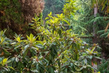 на Ленина 54 - 18