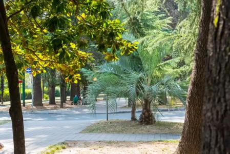 на Ленина 54 - 17