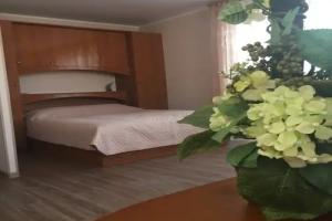 Мини-отель «Студия», Петропавловск-Камчатский