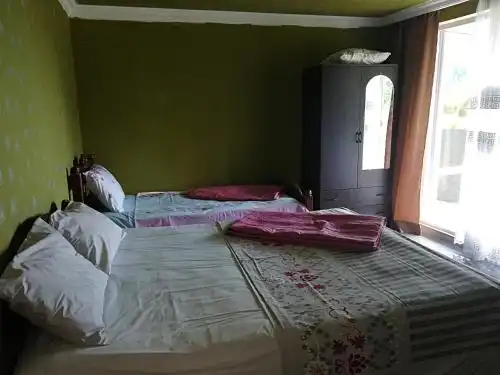 Gega's Property - 18