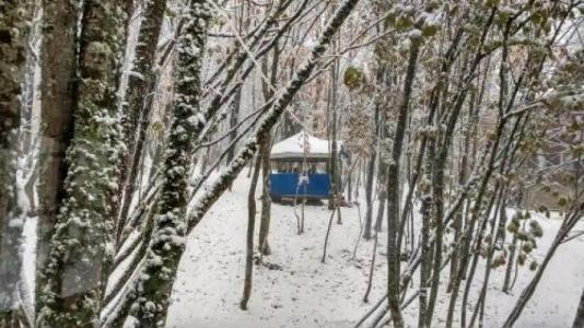 Благодать - 1