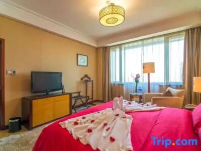 Tianjin Saixiang - 143