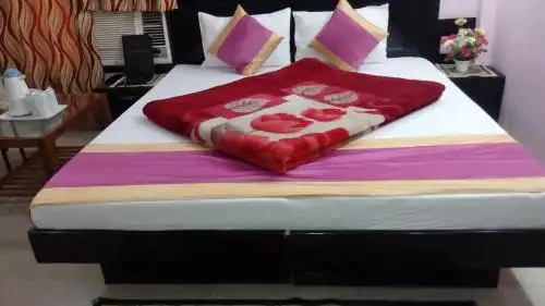 Su Shree Continental 5 Minutes Walk From New Delhi Railway Station - 12