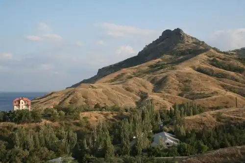 Rivera - 24