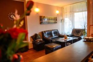 База отдыха «Вилен комплекс Дарибел»