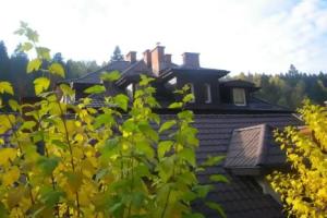 Отель «Ośrodek Wypoczynkowy Ognisko»