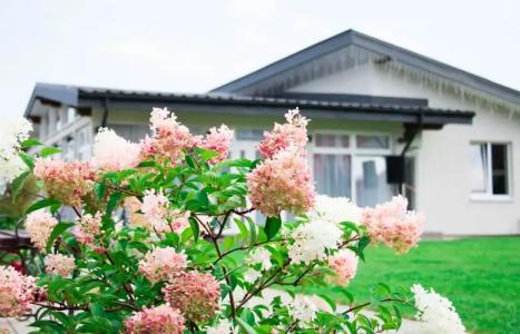 Холмы - 1