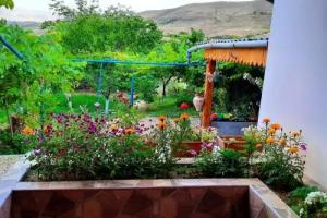 Ararat b&b, Чива