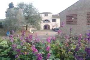 Гостевой дом «Fattoria Palaia», Монтеспертоли