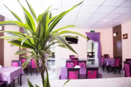 Fiesta Borispol Airport - 24