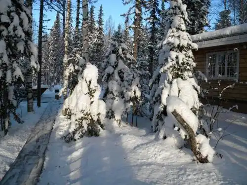 Taiga House - 65