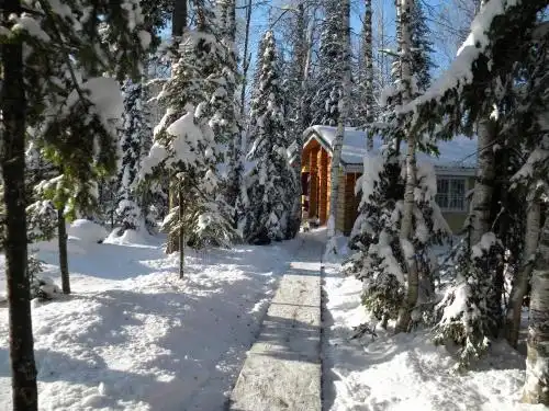 Taiga House - 85