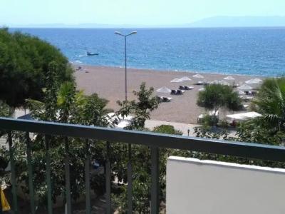 Palmiye - 8