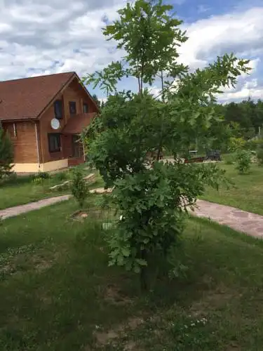 Степаново - 9