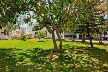 Thodorou Village - 21