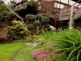 Family Room with Garden View