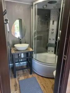 Купол сфера - 11