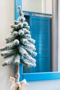 Family Residence - 47