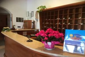 Hotel «Club Bellavista», Виесте