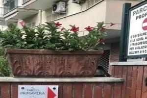 Al Parco Primavera b&b, Сорренто