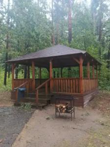 Заячья поляна - 22