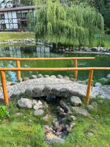 Заячья поляна - 28