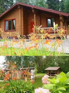 Заячья поляна - 38