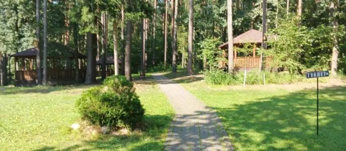 Заячья поляна - 25