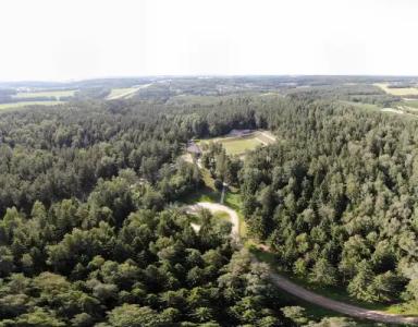 Заячья поляна - 19