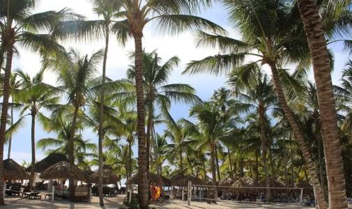 Catalonia Royal La Romana Adults Only - All Inclusive - 19