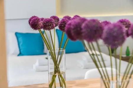 Malama Beach Holiday Village - 122