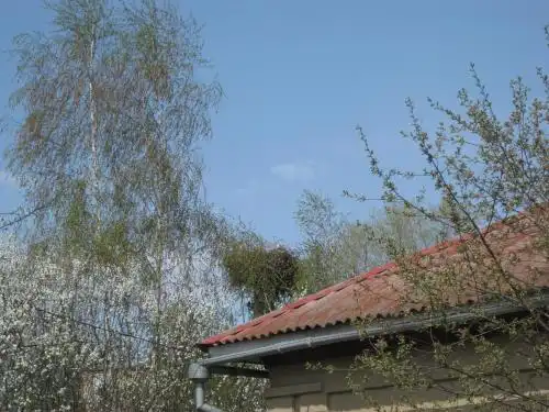 Дом на Днепре - 3