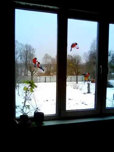 Дом на Днепре - 26