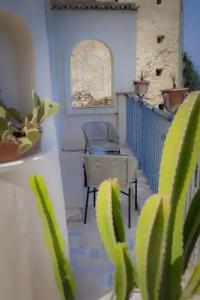 La Dolce Vita a Tropea - 123