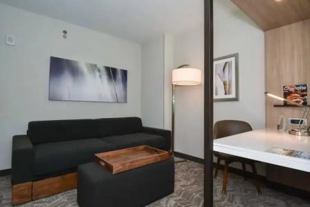 SpringHill Suites by Marriott Charlotte Uptown - 49