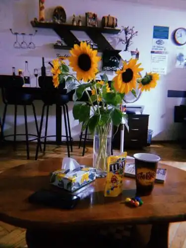 Friendship Domino Hostel & Tours - 13