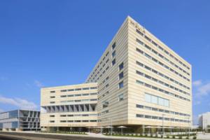 Отель «Melia Palma Bay», Пальма-де-Майорка