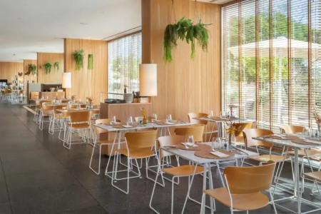 Melia Palma Bay - 14