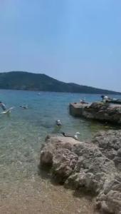 ApartMarina - 11