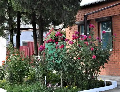 У ЗоИ на Мира - 30
