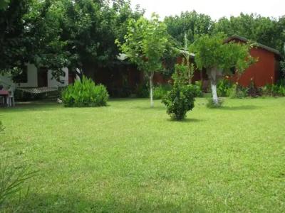 Çıralı Rüya Pansiyon - 27