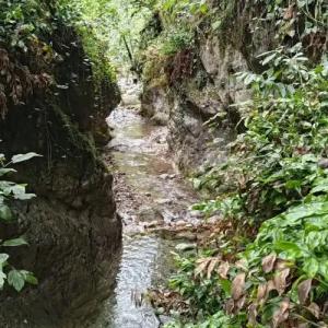 Ущелье Гагрипш - 33