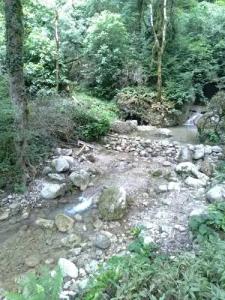 Ущелье Гагрипш - 11