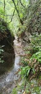 Ущелье Гагрипш - 17