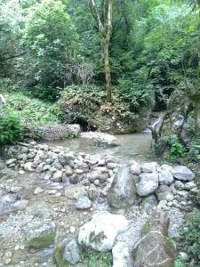 Ущелье Гагрипш - 10