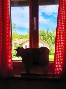 Zur glücklichen Kuh - 47