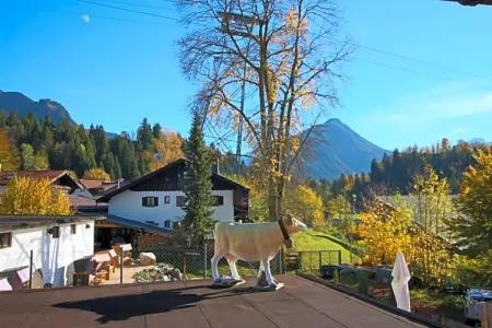 Zur glücklichen Kuh - 32